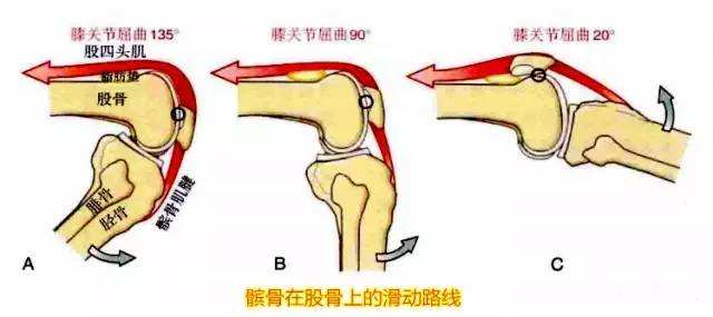 上下樓梯膝蓋疼痛是什么原因