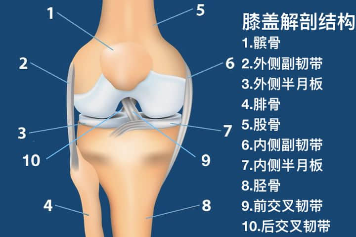 如何分辨半月板損傷還是韌帶損傷？