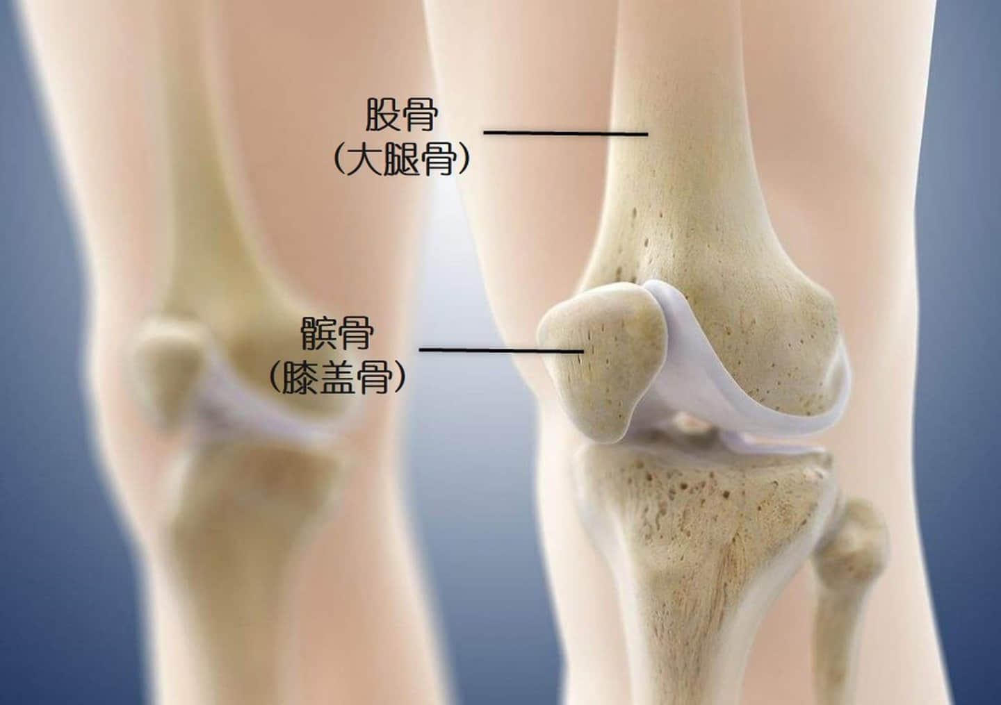 這個(gè)膝痛是最常見的運(yùn)動(dòng)損傷，如何自我康復(fù)？