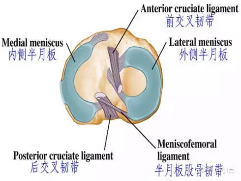 半月板損傷怎么辦？