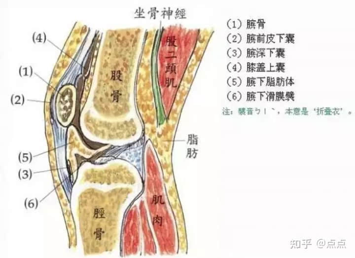 膝蓋受傷怎樣保守恢復(fù)？能自愈嗎？